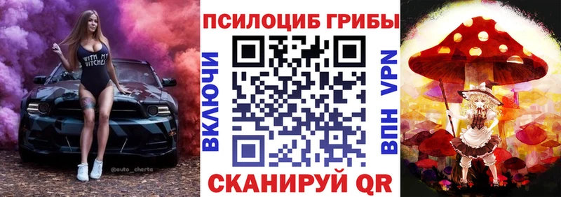 мориарти официальный сайт  Мурино  Псилоцибиновые грибы Psilocybine cubensis 