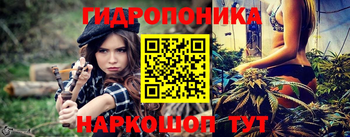 Марихуана семена  Каннабис сатива  Бошки Шишки ГИДРОПОН  Вход с VPN  Канабис Ganja  Мурино 
